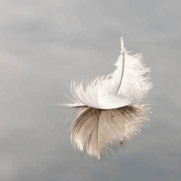 Meet your Posher, Time - Picture 1 of 1